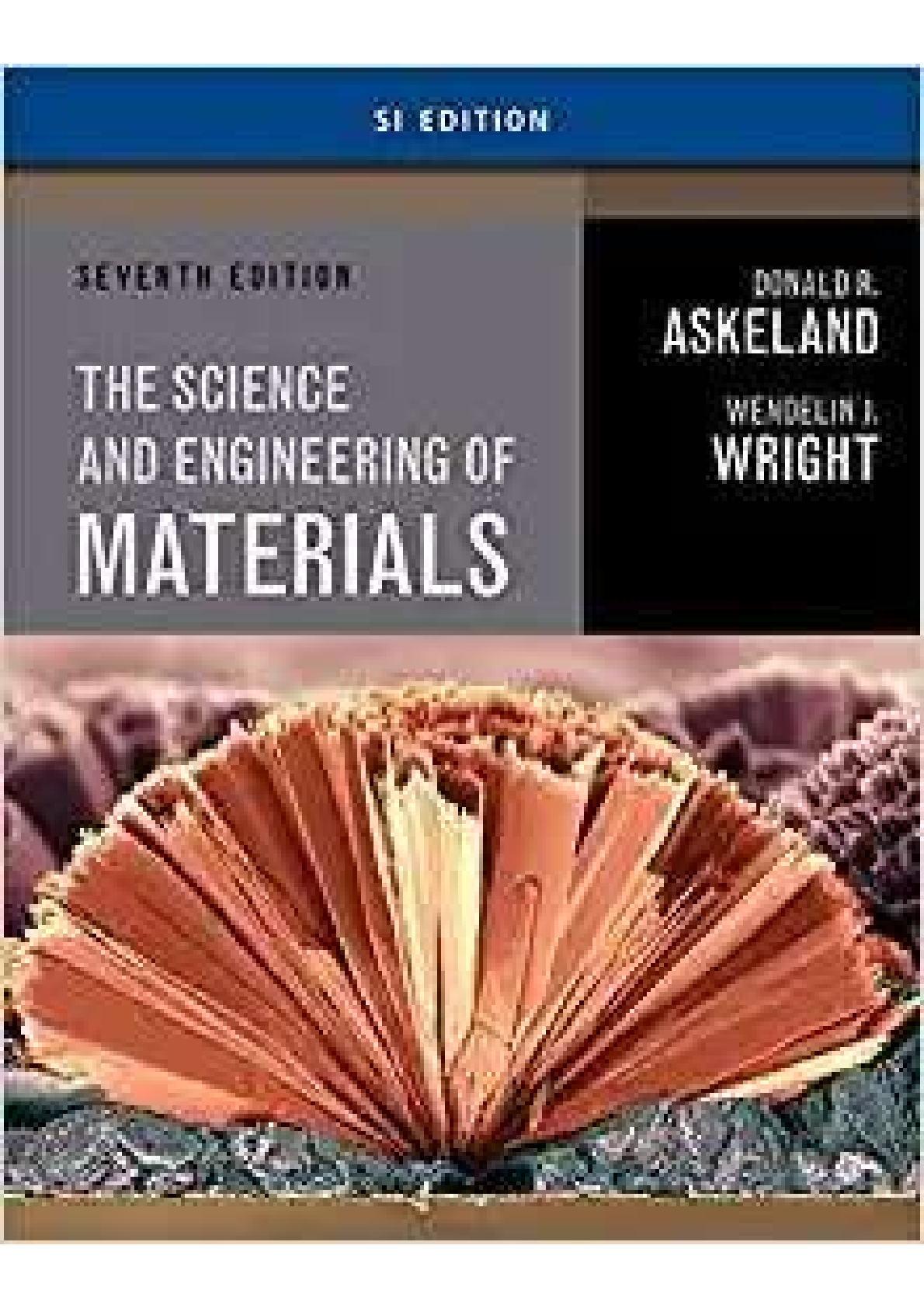 THE SCIENCE AND ENGINEERING OF MATERIALS 6TH EDITION Browsegrades
